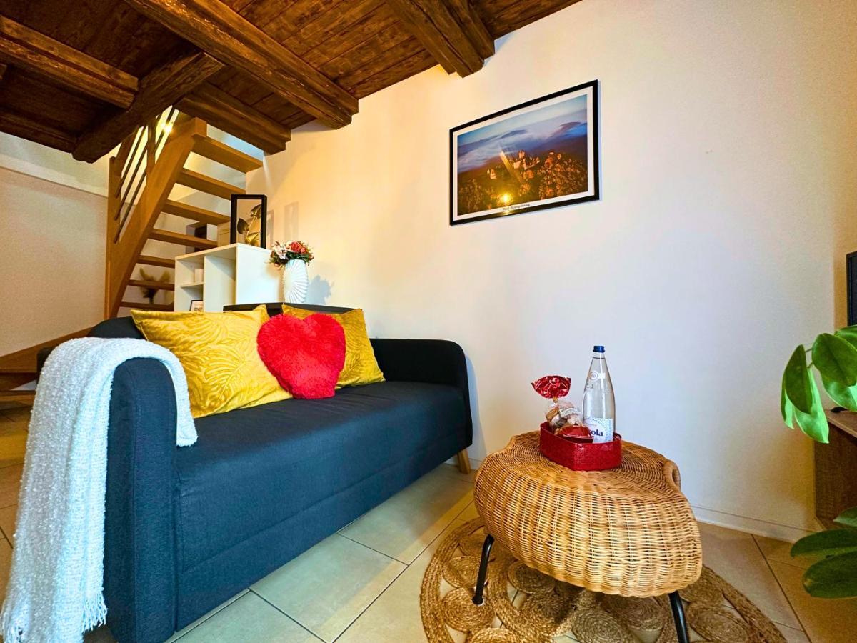Le Petit Chataignier - Cozy Immo Шатенуа Екстер'єр фото