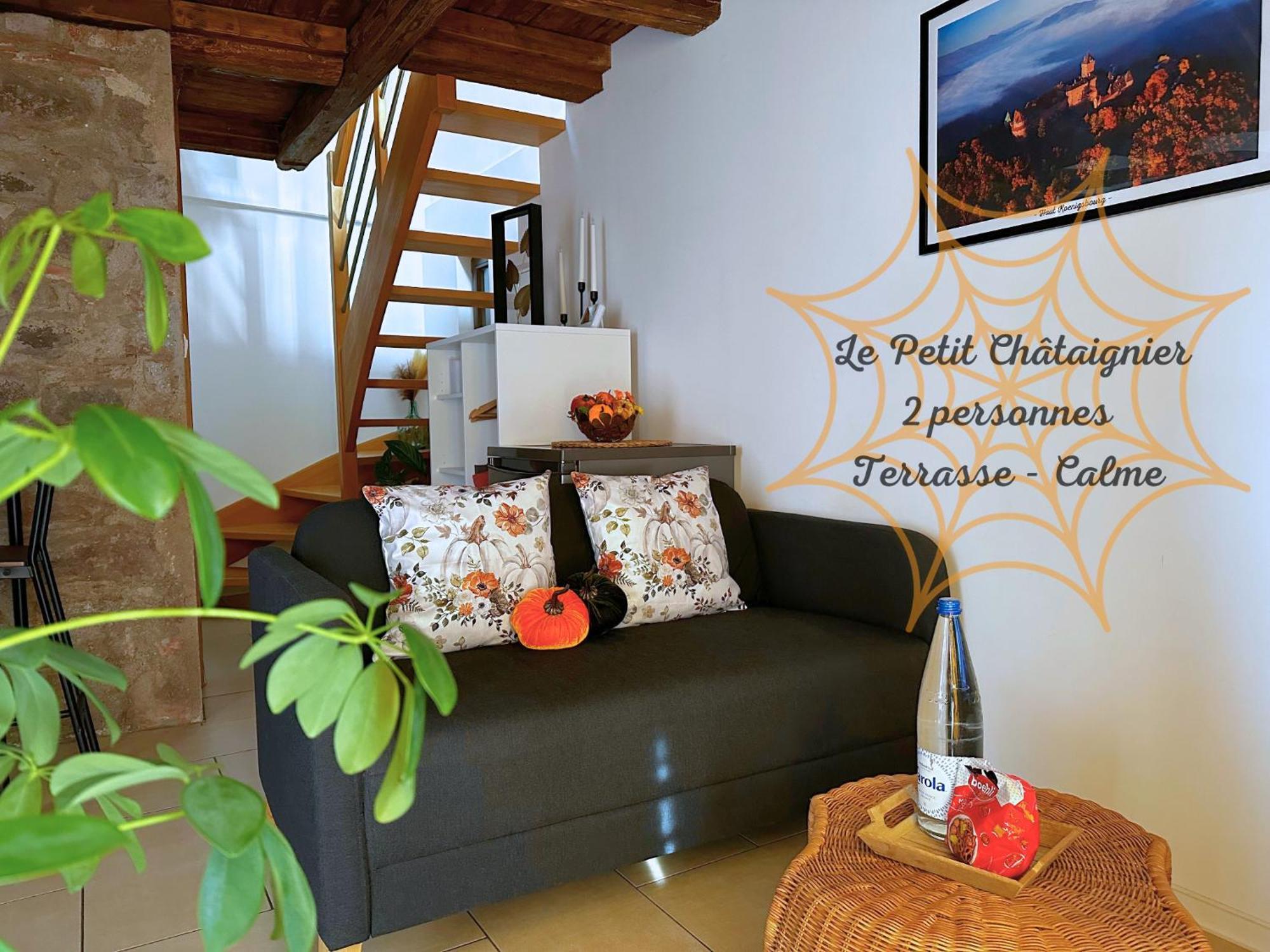 Le Petit Chataignier - Cozy Immo Шатенуа Екстер'єр фото